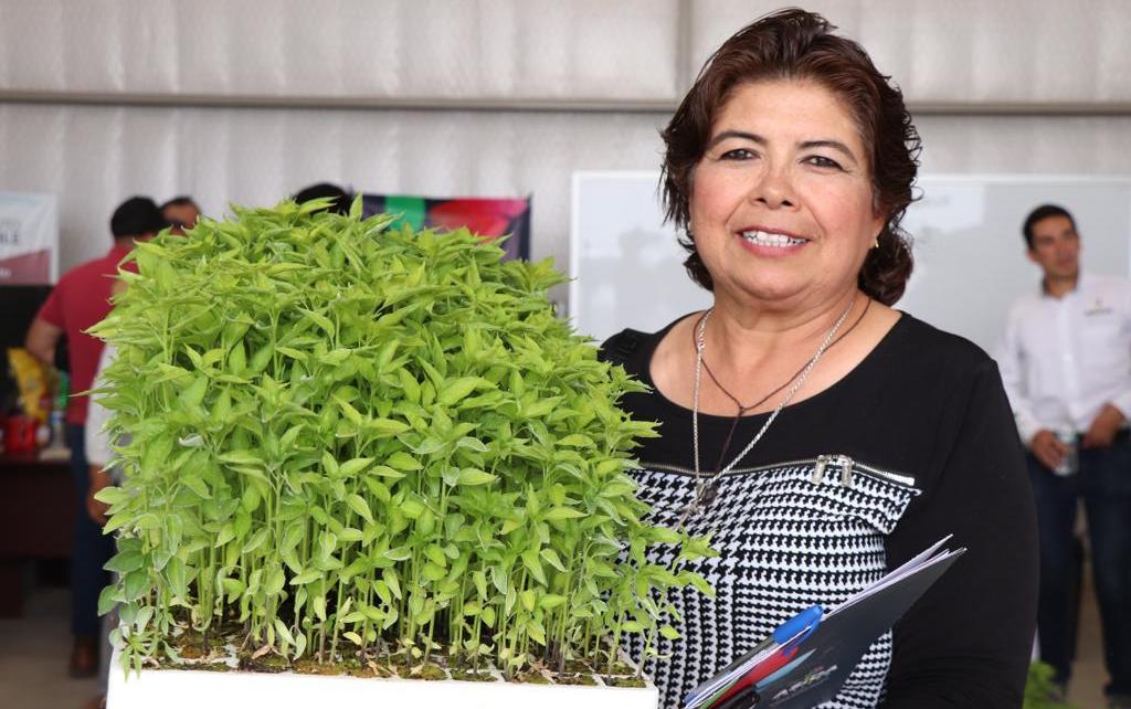 Con esta entrega, realizada en Yahualica de González Gallo, suman ya 220 mil plántulas donadas en dicho municipio. ESPECIAL