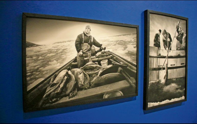 La muestra es una oda a la naturaleza y su interacción con el hombre. CORTESÍA