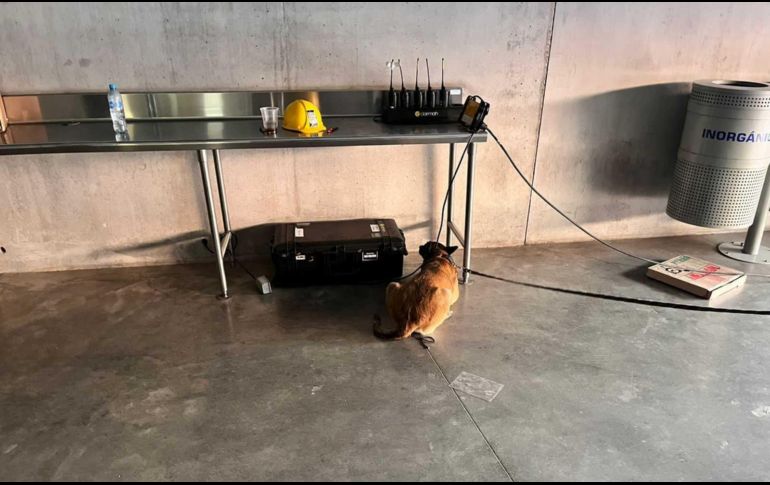 El protocolo de seguridad es un plan que establece mecanismos y formas de actuar para prevenir y enfrentar amenazas, así como para tener acordadas reglas mínimas de comportamiento de todos. ESPECIAL