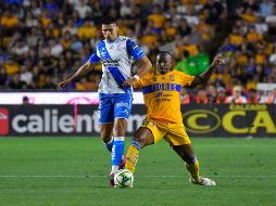 Tigres logró clasificar en la Liguilla al obtener un marcador 1-0 contra los camoteros. IMAGO7