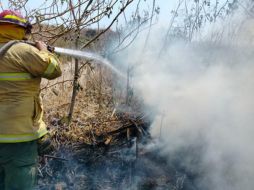 Jalisco se mantiene en primer lugar nacional en superficie afectada por incendios, con 34 mil 623.44 hectáreas. ESPECIAL/Semadet Jalisco