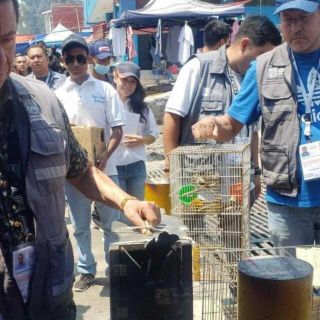 Vendedores abandonan a 56 animales en El Baratillo