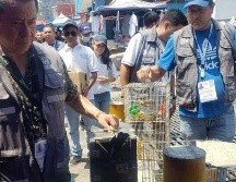 ESPECIAL/Policía de Guadalajara