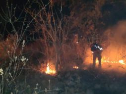 En redes sociales pobladores informaron pérdidas en el hábitat de especies silvestres. TWITTER/SemadetJal