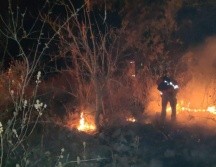 En redes sociales pobladores informaron pérdidas en el hábitat de especies silvestres. TWITTER/SemadetJal