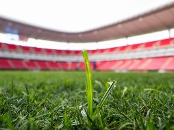 Sobre lo ocurrido en el Akron, informan que el pasto parece no haberse visto afectado por la pelea del Canelo vs Ryder. IMAGO7