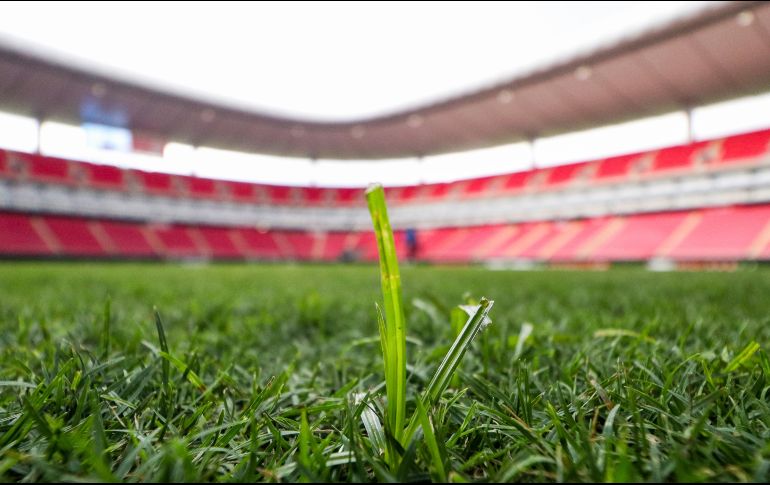 Sobre lo ocurrido en el Akron, informan que el pasto parece no haberse visto afectado por la pelea del Canelo vs Ryder. IMAGO7