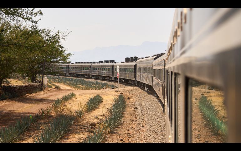 El pasado 6 de mayo se llevó a cabo el festival musical Akamba 2023 en Tequila, Jalisco.  CORTESÍA AKAMBA