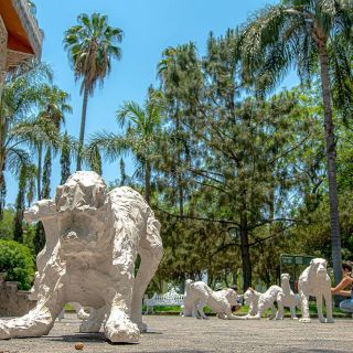 ¡Guau! Visita el "Paseo Perrón" con tu familia y amigos en Tlajomulco