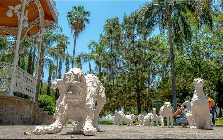 La exposición estará en el municipio durante 31 días. ESPECIAL