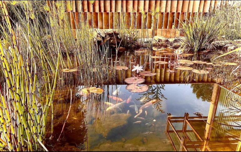 Celebra con mamá en Valle de Bravo y visita Solar. ESPECIAL/SOLAR PARAÍSO LÚDICO.