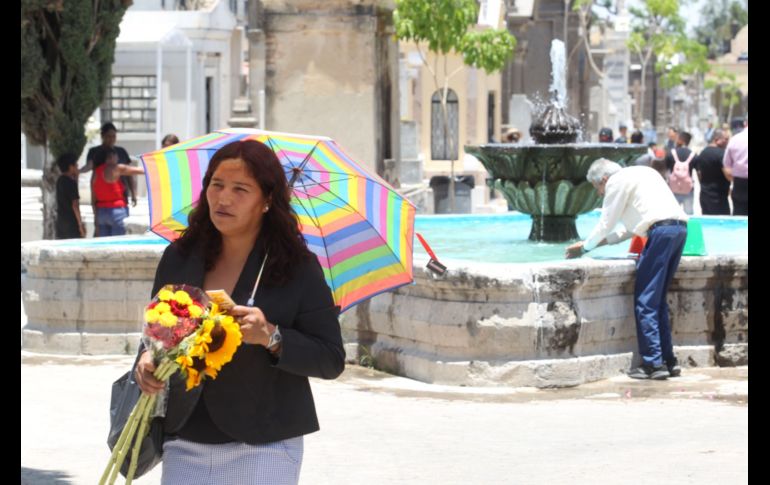 Paquetes de 24 rosas en precios desde los 250 pesos las más caras y de 150 pesos las más baratas sin su arreglar están ofreciendo en el Mercado de Flores de Mezquitán. EL INFORMADOR / A. Camacho