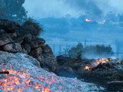 En lo que va del 2023 se han documentado 585 incendios forestales en la Entidad. Además, el fuego ha afectado 14 mil 571 hectáreas. EFE/Archivo