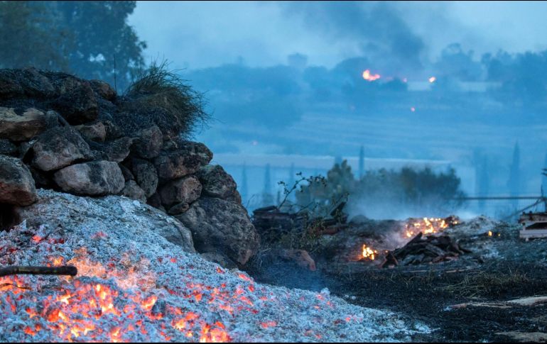 En lo que va del 2023 se han documentado 585 incendios forestales en la Entidad. Además, el fuego ha afectado 14 mil 571 hectáreas. EFE/Archivo