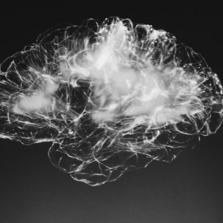 Salud mental: Mismo componente celular, responsable de autismo y esquizofrenia