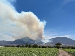 El incendio en Ahualulco de Mercado inició ayer por la noche. ESPECIAL