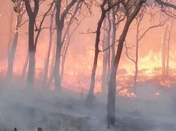 Se registra incendio en El Arenal; ZMG percibe el olor a humo  (VIDEO)