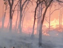 Se registra incendio en El Arenal; ZMG percibe el olor a humo  (VIDEO)