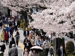 Gracias a la política sobre el cubrebocas, Japón mantuvo a raya al COVID-19 y evitó tener una tasa mayor de mortalidad. Pero el costo ha sido alto: menos sociabilización, menos interacciones, y menos sonrisas. EFE / ARCHIVO