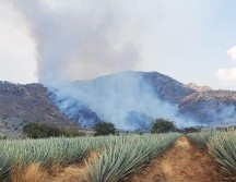 El incendio forestal comenzó el lunes en un paraje de El Arenal, pero ya fue extinguido. ESPECIAL
