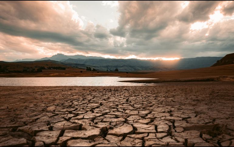Los autores del estudio dijeron que 