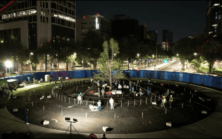 El viernes pasado un grupo de expertos conformado por viveristas, instituciones académicas y de la sociedad civil plantaron un ahuehuete en la Glorieta de Paseo de la Reforma. TWITTER / @SEDEMA_CDMX
