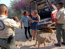 Con el apoyo del helicóptero Zeus se realizó la extracción de la menor. ESPECIAL/PC Jalisco