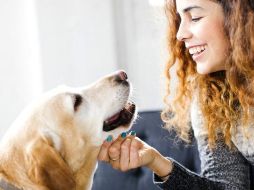 Con algunas medidas básicas, es posible reducir significativamente el riesgo de contraer una enfermedad por el contacto con las mascotas. GETTY IMAGES
