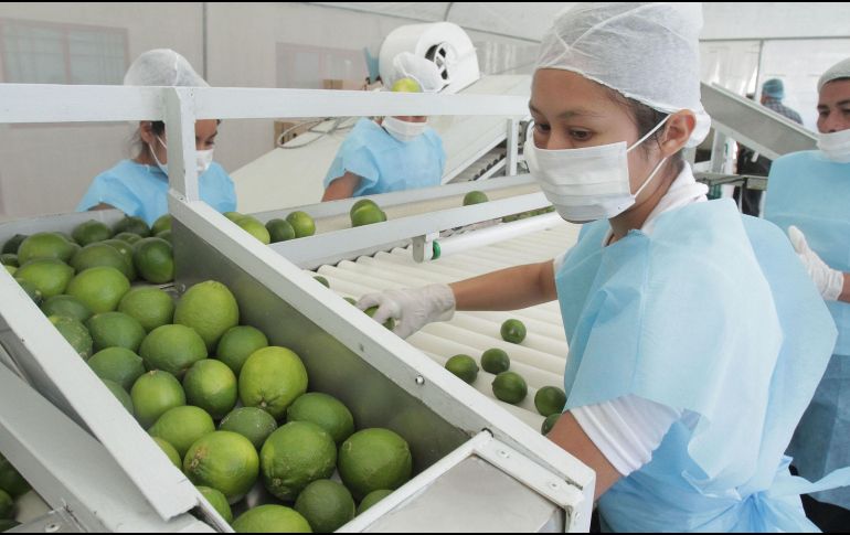 En abril de 2023, el valor de las importaciones de mercancías fue de 47 mil 733 millones de dólares, lo que significó un retroceso anual de 3.3 por ciento. NTX/ARCHIVO