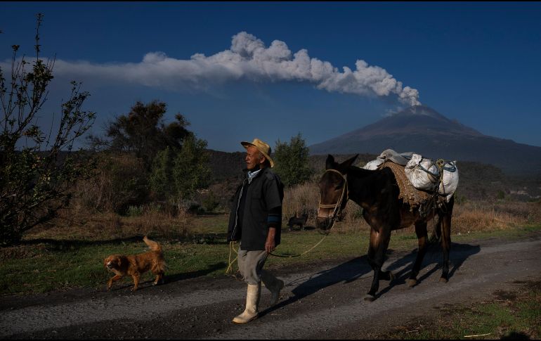 Otros tipos de actividad sísmica relacionadas a volcanes y sus erupciones son periodos largos de olas sísmicas, que ocurren por un movimiento esporádico de magma, que fue bloqueado. AP 
 / M. Ugarte