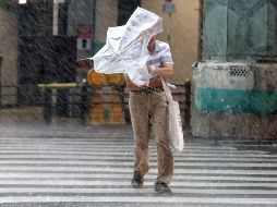 El IAM proyecta que las lluvias se regularicen a mediados de junio. ARCHIVO