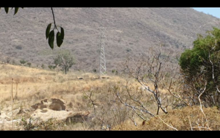 El punto de inhumación en el que se trabaja se localiza a un costado de una antena. ESPECIAL.