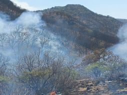 Se desconocen las causas que hayan ocasionado el incendio. ESPECIAL/Bomberos de Zapopan