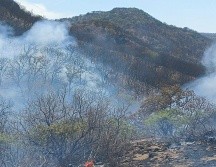Se desconocen las causas que hayan ocasionado el incendio. ESPECIAL/Bomberos de Zapopan