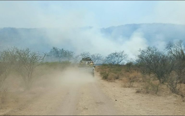 En total fueron afectadas 28 hectáreas de pasto. ESPECIAL/Bomberos Zapopan