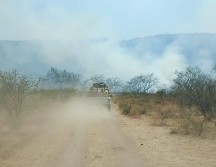 En total fueron afectadas 28 hectáreas de pasto. ESPECIAL/Bomberos Zapopan