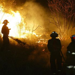 Actividades ilícitas y agrícolas disparan incendios en bosques