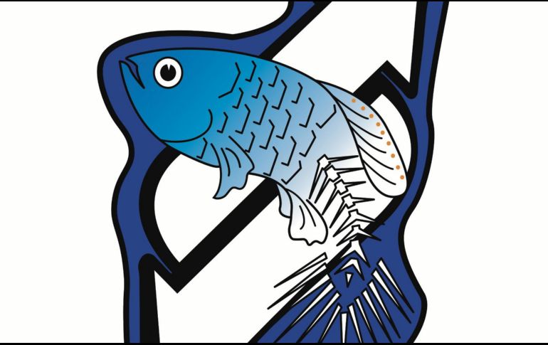 En México tenemos un caso exitoso que vale la pena resaltar: el del picote de tequila (Zoogoneticus tequila). ESPECIAL/M.Vinagrillo