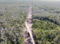 El Tren Maya es un servicio de transporte férreo que pretende conectar las principales zonas de la región. SUN/ARCHIVO