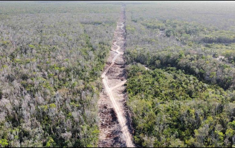 El Tren Maya es un servicio de transporte férreo que pretende conectar las principales zonas de la región. SUN/ARCHIVO