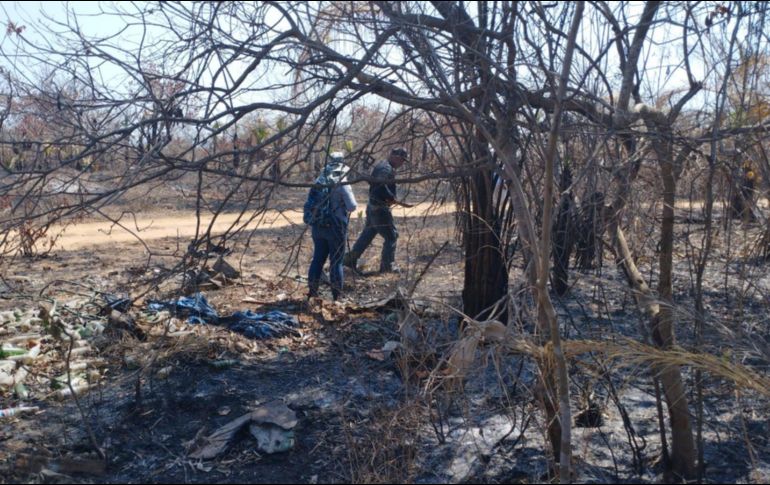 Hasta el momento la Fiscalía del Estado no ha dado mayores detalles de esta fosa. ESPECIAL