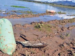 La Tierra esta en peligro, por ende la humanidad también. SUNL/EELG