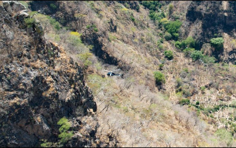 En la zona de Mirador Escondido, en Zapopan, se realiza un operativo en el que han localizado más de 45 bolass con restos humanos. EL INFORMADOR/ A. NAVARRO