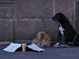 El indigente dejó al perro en el piso, pero ya sin signos de vida. ESPECIAL