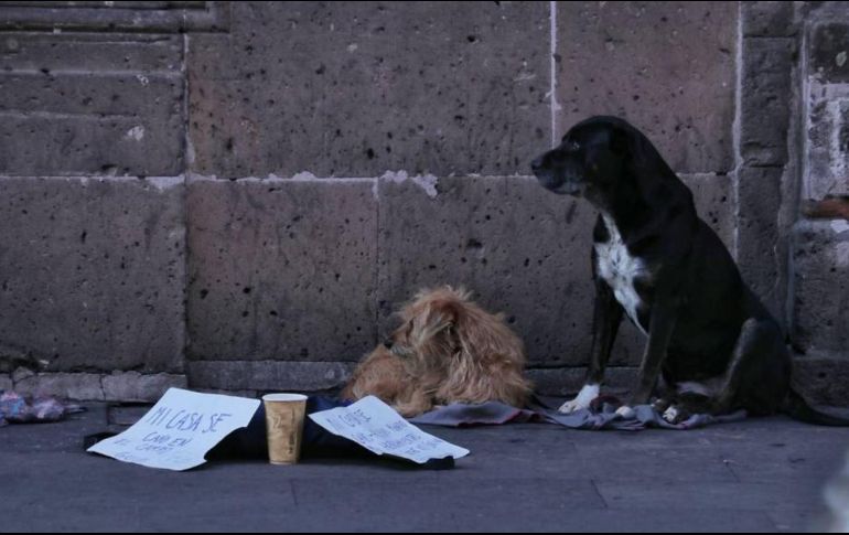 El indigente dejó al perro en el piso, pero ya sin signos de vida. ESPECIAL