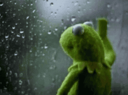 El calor es insoportable y las redes sociales lo saben. ESPECIAL