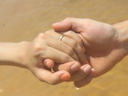 El video no deja de viralizarse y abre el debate sobre si realmente fue cierto o es un montaje. ESPECIAL / Foto de Nguyễn Tân en Unsplash