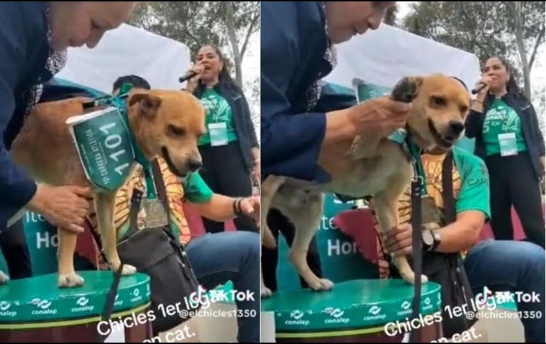 'El Chicles' causó sensación en las redes sociales. SUN