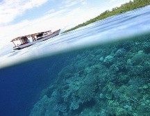 Le hemos dado la espalda al océano. GETTY IMAGES