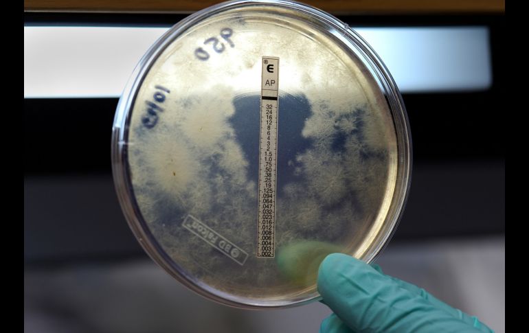 No se ha especificado la clínica en Matamoros en la que Lauren se contagió de meningitis. ESPECIAL/Foto de CDC en Unsplash